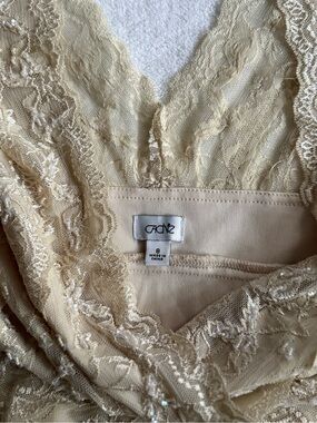 Cache Lace V-Neck Dress in Champagne